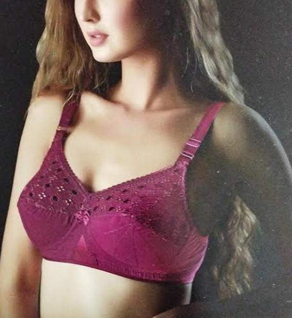 KARISHMA COTTON-CHICKEN MIX BRA